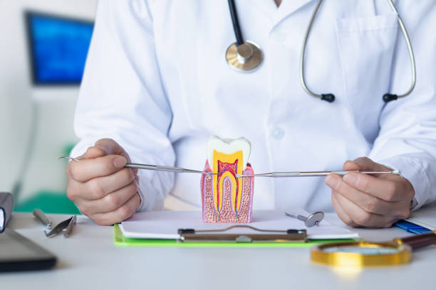 Best Broken or Cracked Tooth Emergency Dentist in Pearland, TX